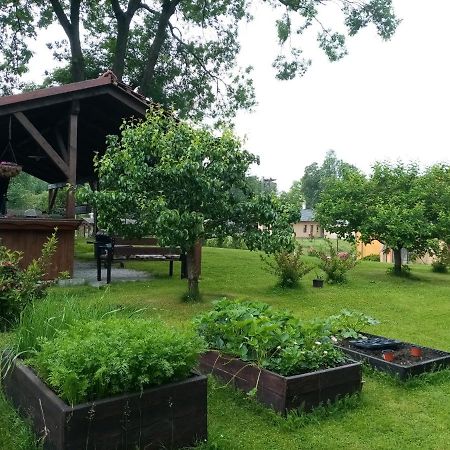 Mija Apartman S Vinnym Sklipkem, Zahradou A Grilem Kájov Екстериор снимка
