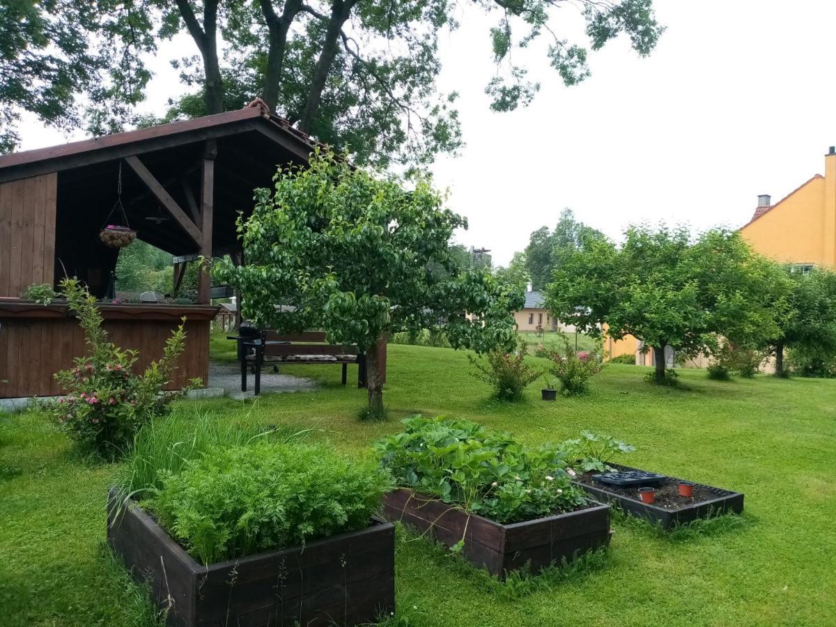 Mija Apartman S Vinnym Sklipkem, Zahradou A Grilem Kájov Екстериор снимка